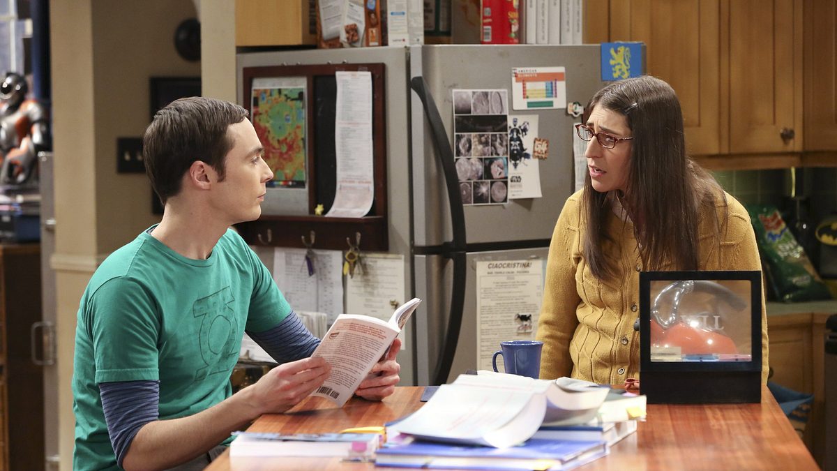 the big bang theory