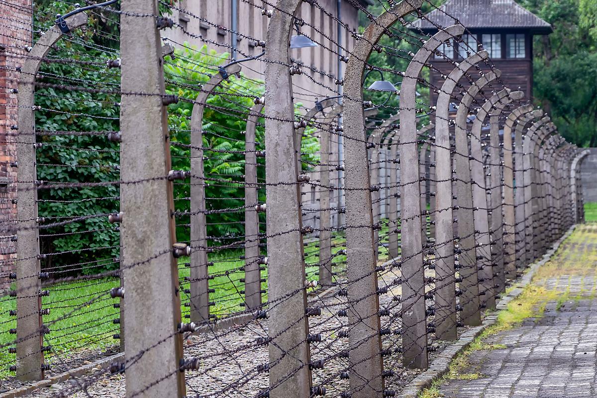 Die Wahrheit über den Holocaust die wahrheit über den holocaust