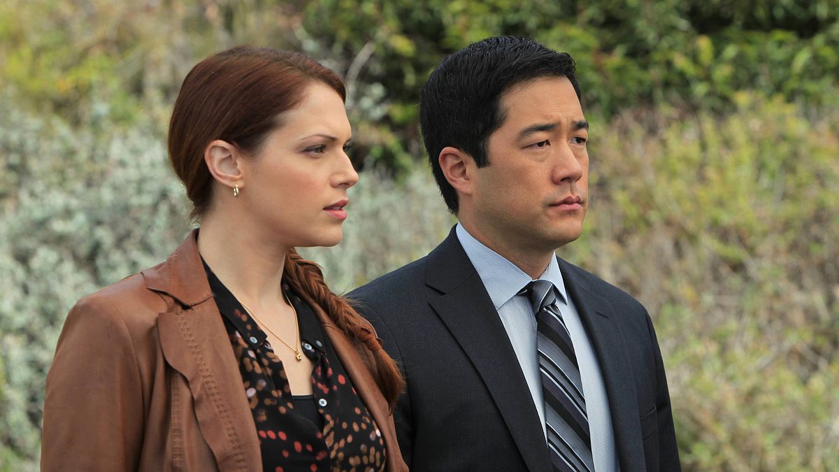 the mentalist