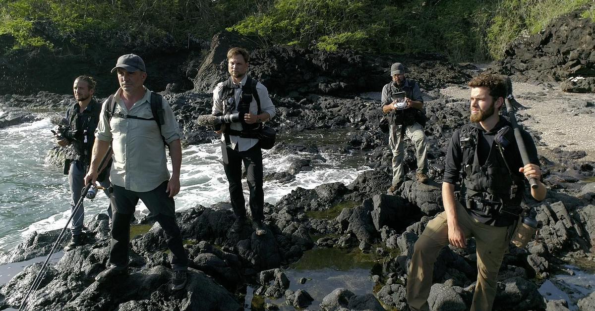 Giganten unter Wasser - Riesenfischen auf der Spur giganten unter wasser - riesenfischen auf der spur