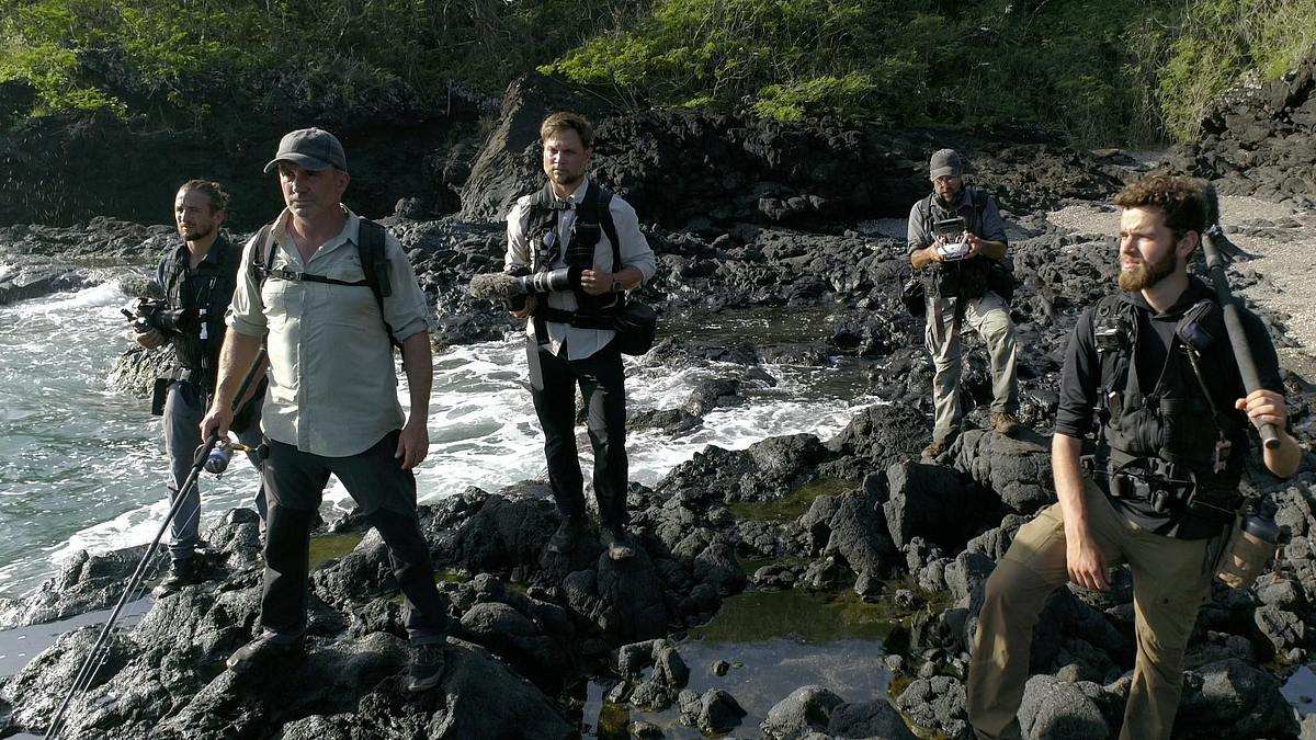 giganten unter wasser - riesenfischen auf der spur