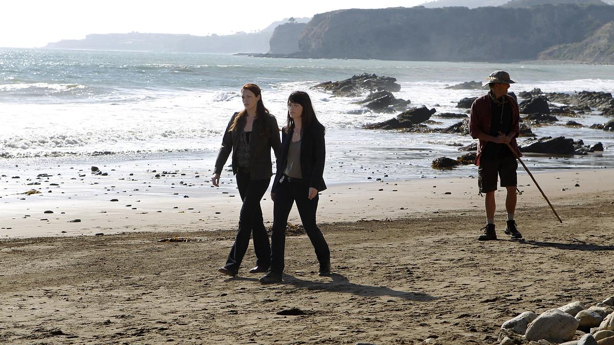 the mentalist