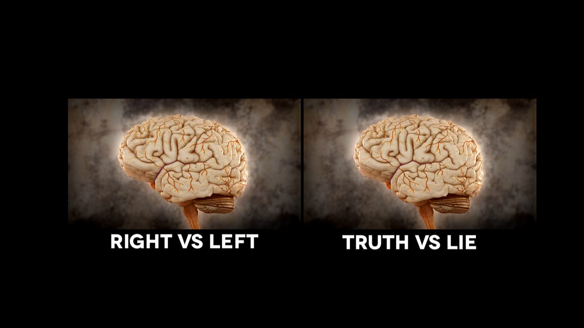 brain games spezial