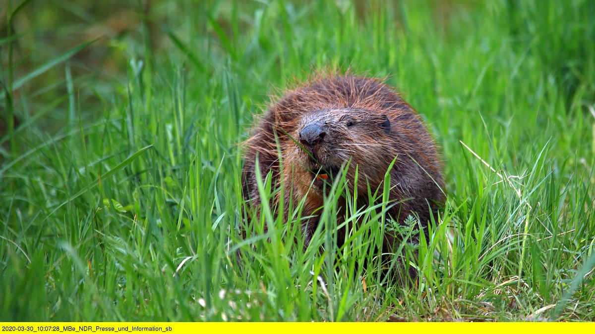 abenteuer wildnis
