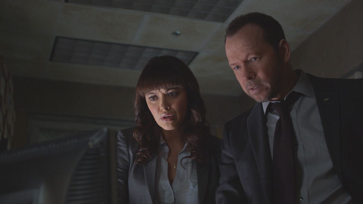 blue bloods - crime scene new york