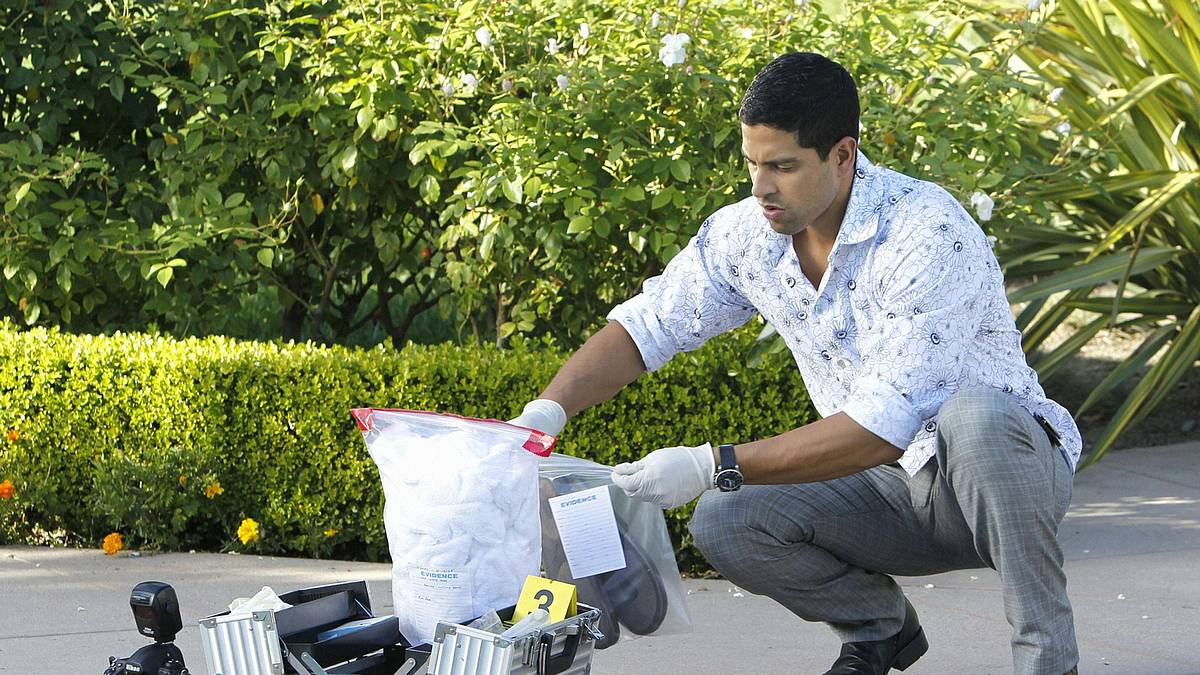 csi: miami