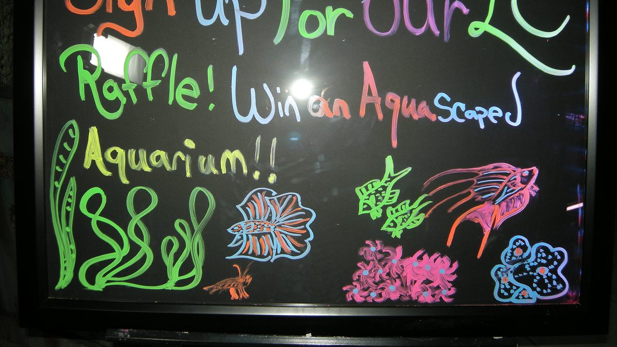 fish tank kings - gigantische wasserwelten