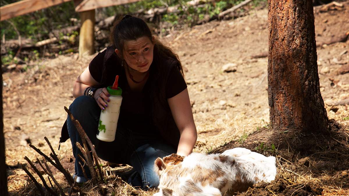 alaskan bush people