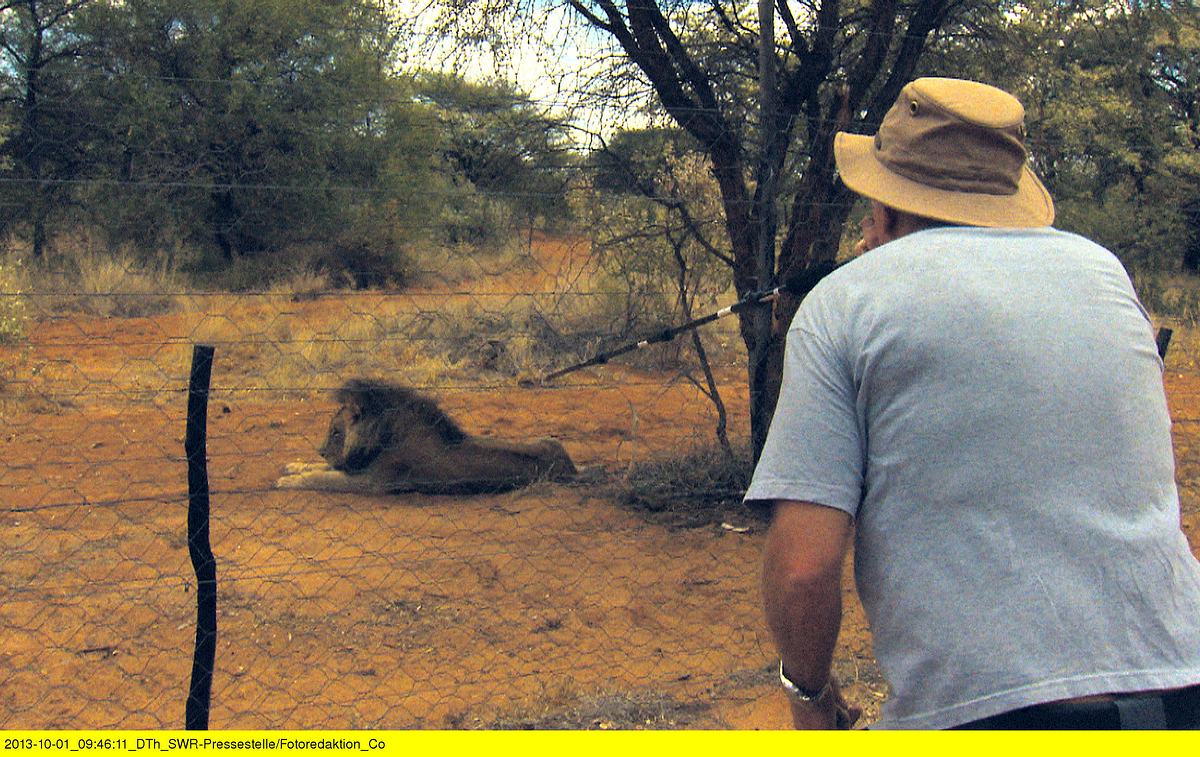 Das Waisenhaus für wilde Tiere - Abenteuer Afrika das waisenhaus für wilde tiere - abenteuer afrika