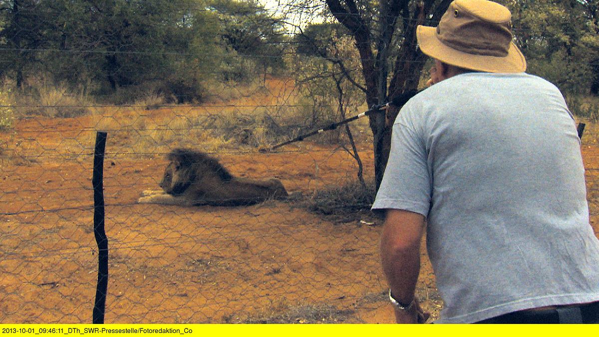 das waisenhaus für wilde tiere - abenteuer afrika