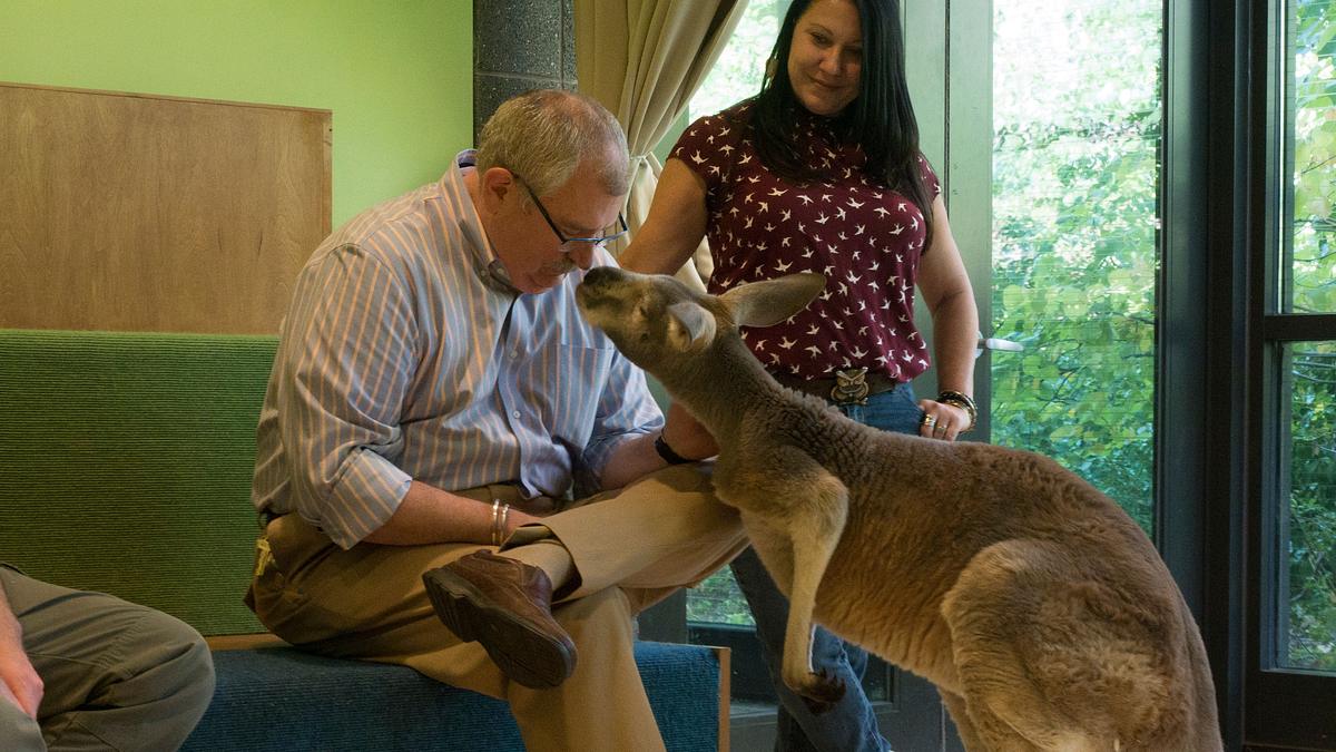 bronx zoo - tierpark der superlative