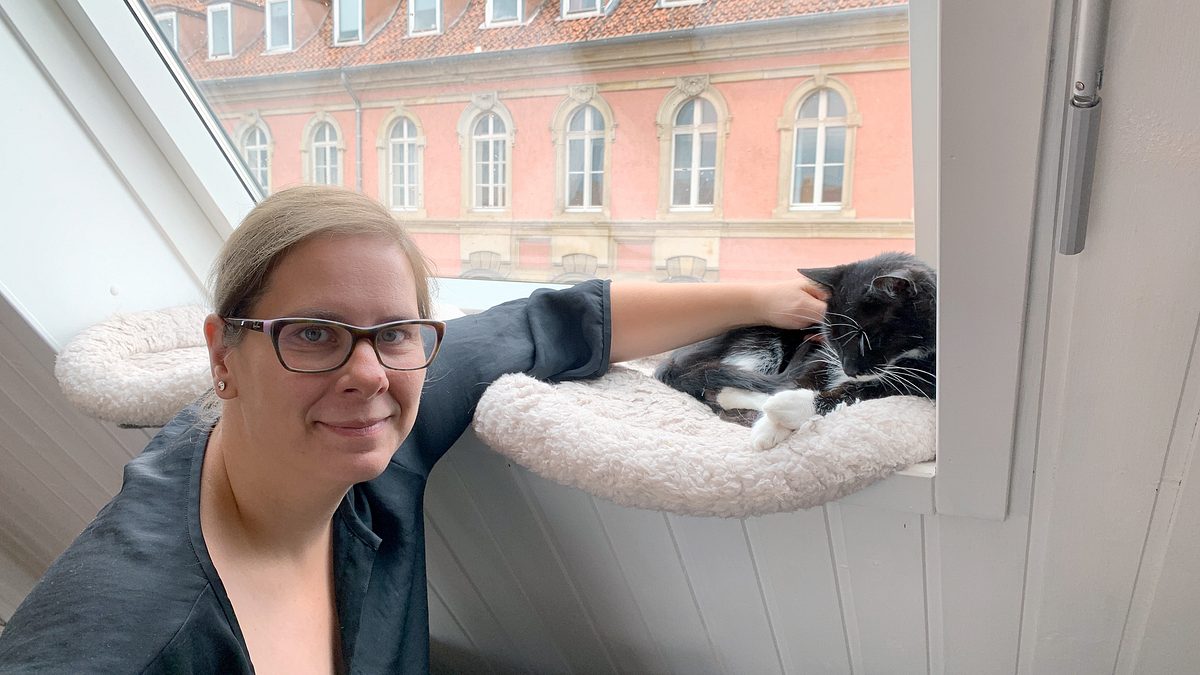 das geheime wesen der katzen