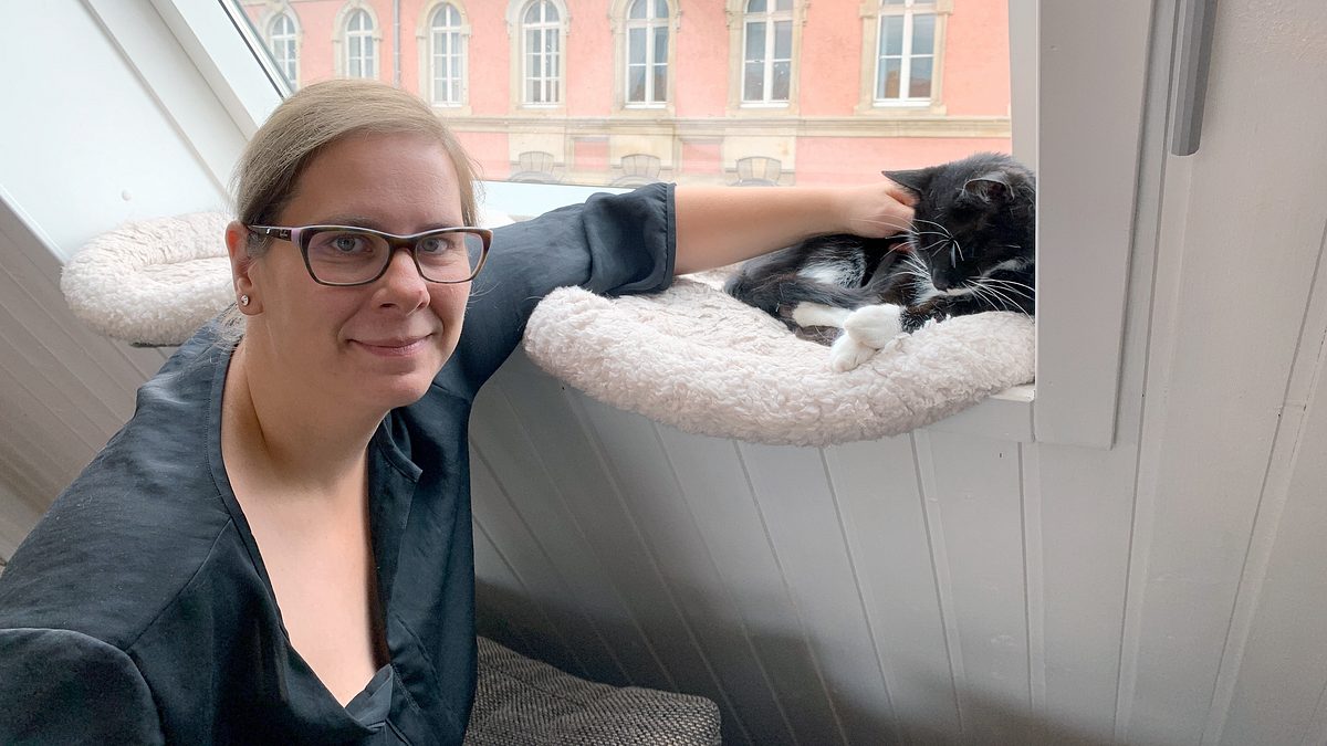 das geheime wesen der katzen