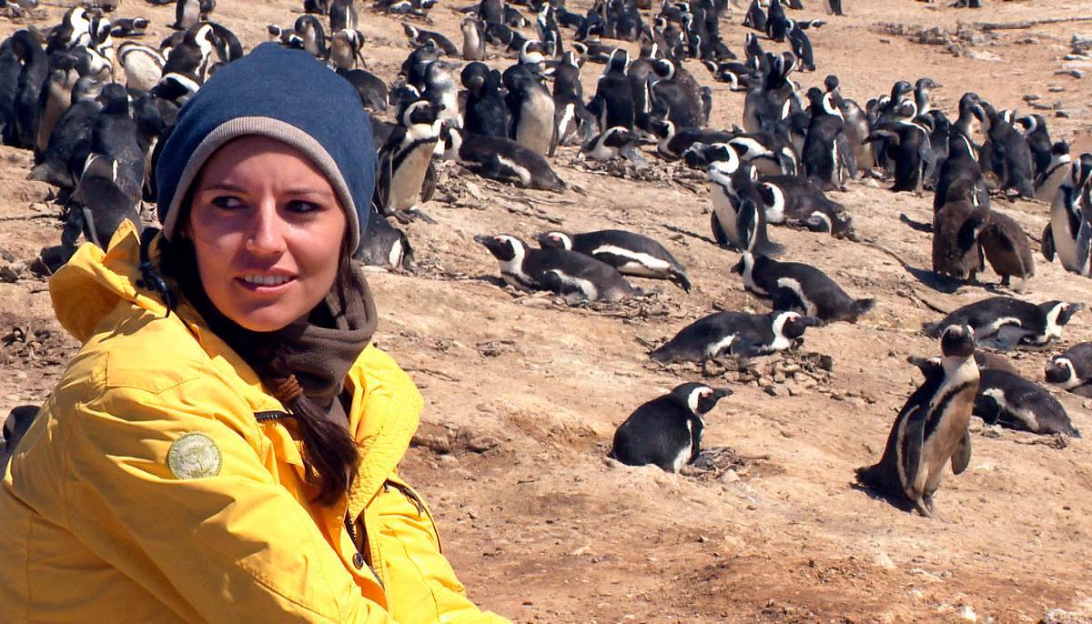 Das Waisenhaus für wilde Tiere - Abenteuer Afrika das waisenhaus für wilde tiere - abenteuer afrika