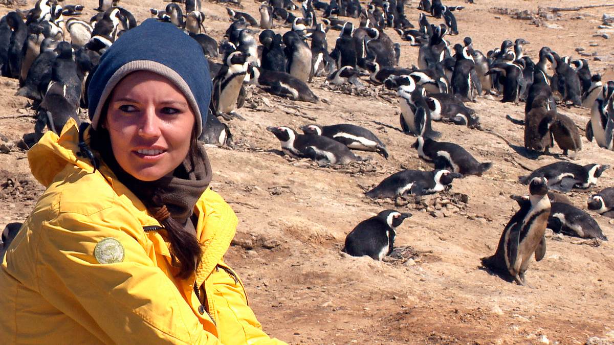 das waisenhaus für wilde tiere - abenteuer afrika