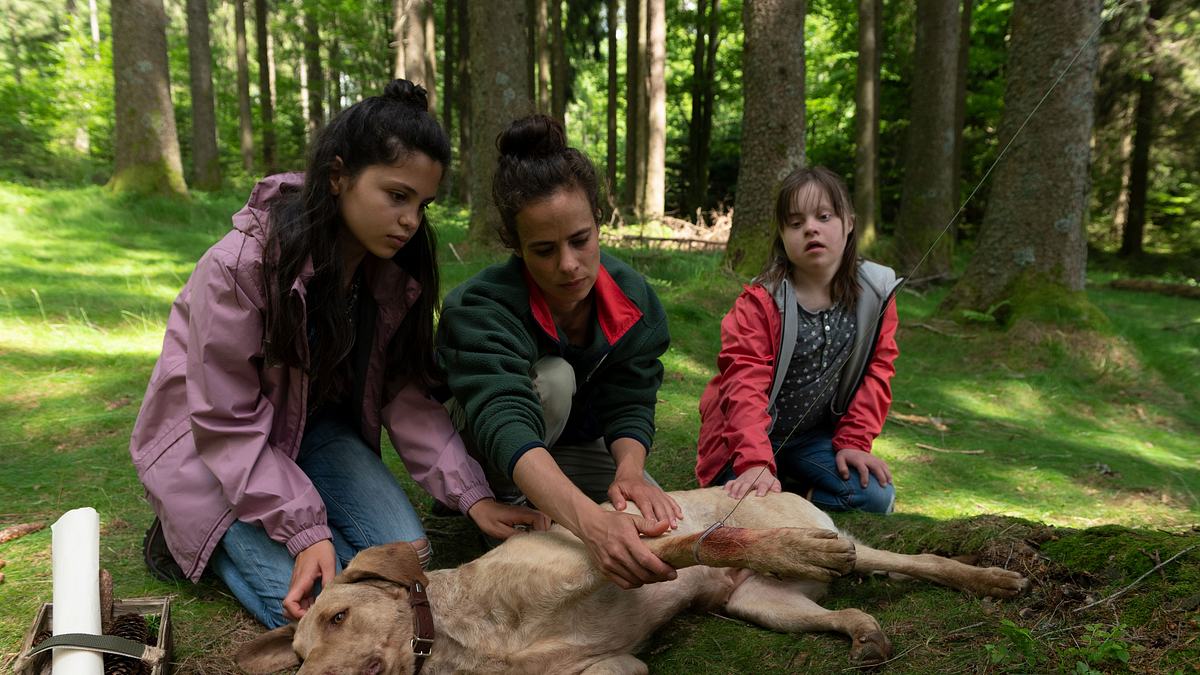tiere bis unters dach