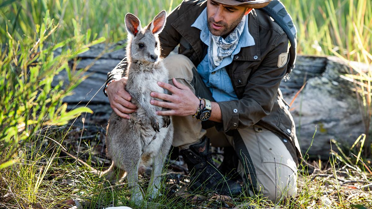 faszinierende tierwelt mit coyote peterson