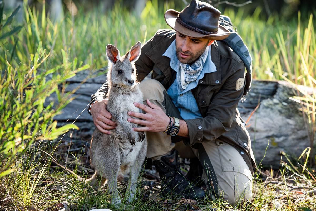 Faszinierende Tierwelt mit Coyote Peterson faszinierende tierwelt mit coyote peterson