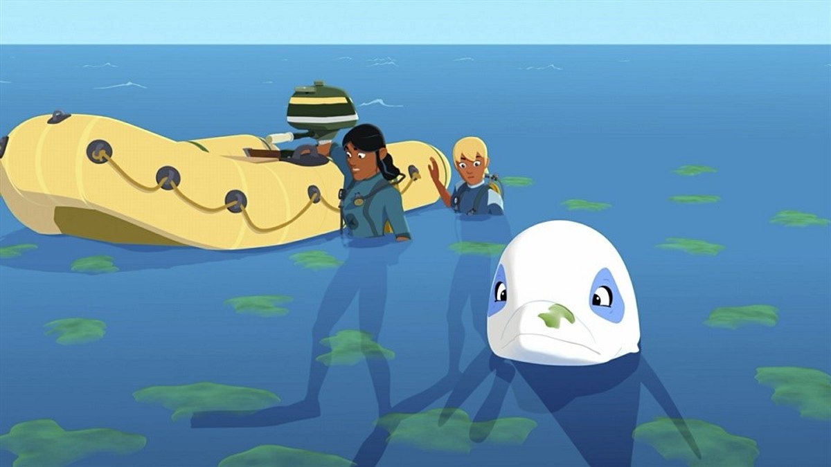 Zoom - Der weiße Delfin zoom - der weiße delfin