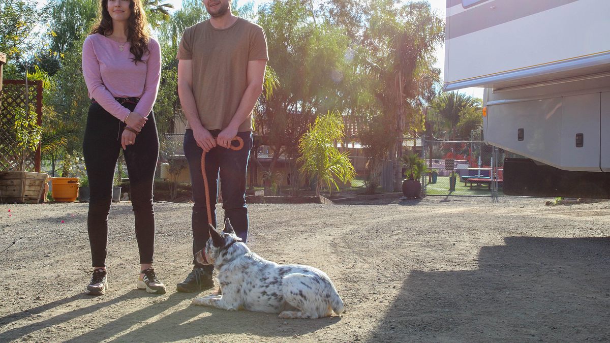 cesar millan: guter mensch, guter hund
