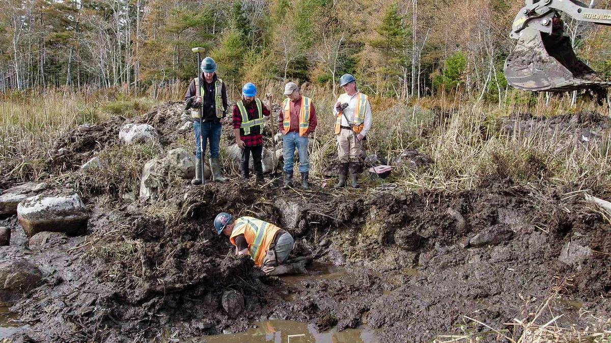 oak island - fluch und legende
