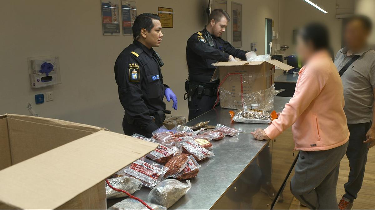 border control: schwedens grenzschützer