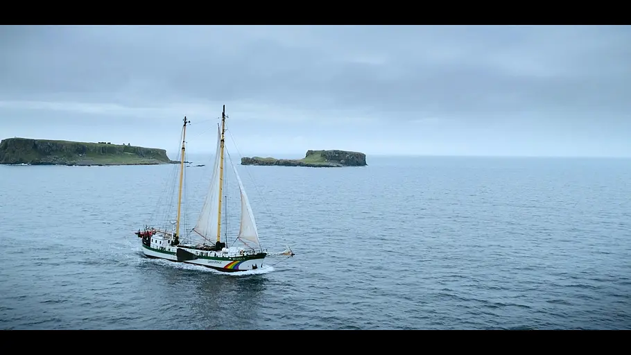 inside greenpeace - was braucht es, um die welt zu retten?
