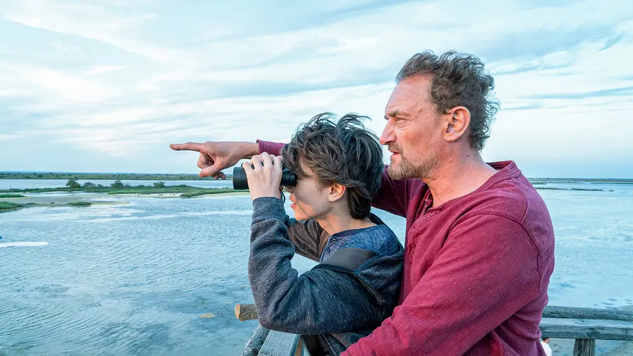 Der Junge und die Wildgänse der junge und die wildgänse