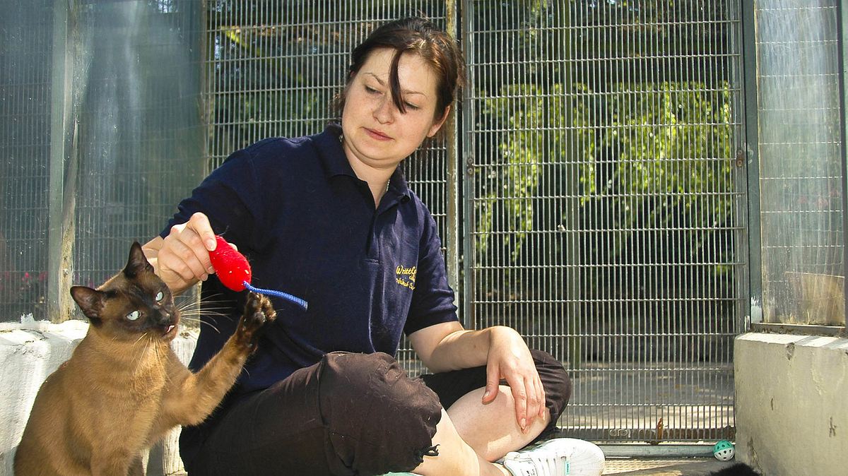 check-in für tiere