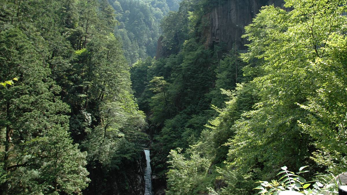 wilde inseln