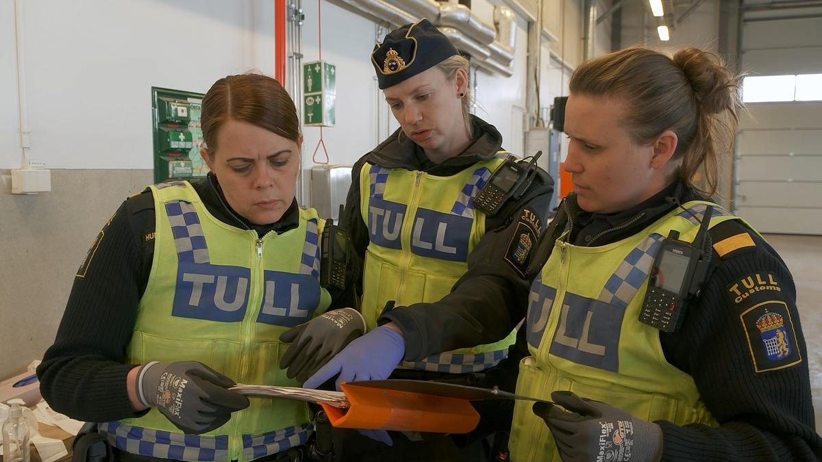 border control: schwedens grenzschützer