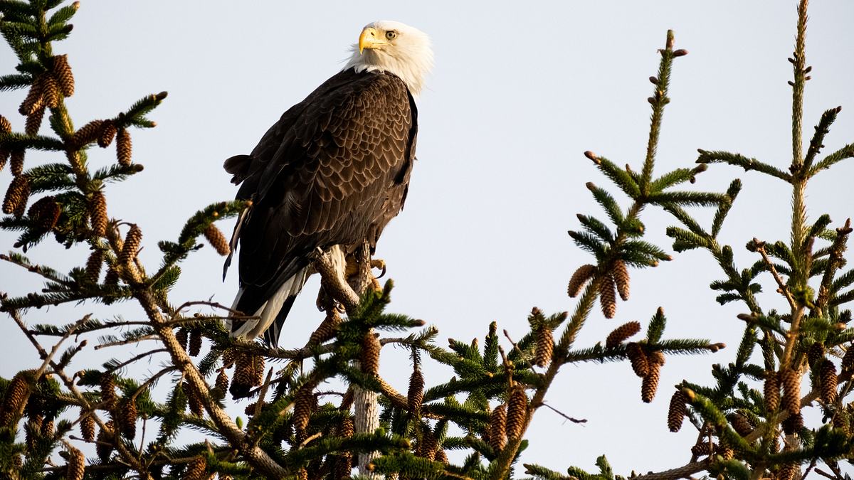 amerikas nationalparks
