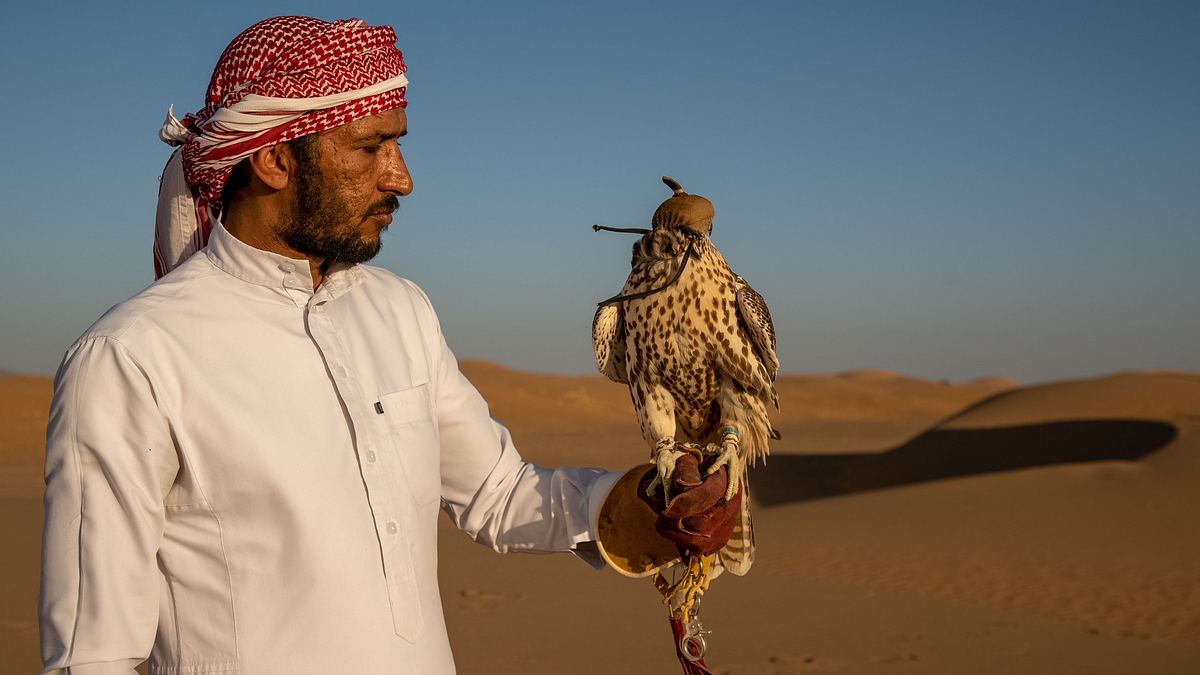 wildes arabien