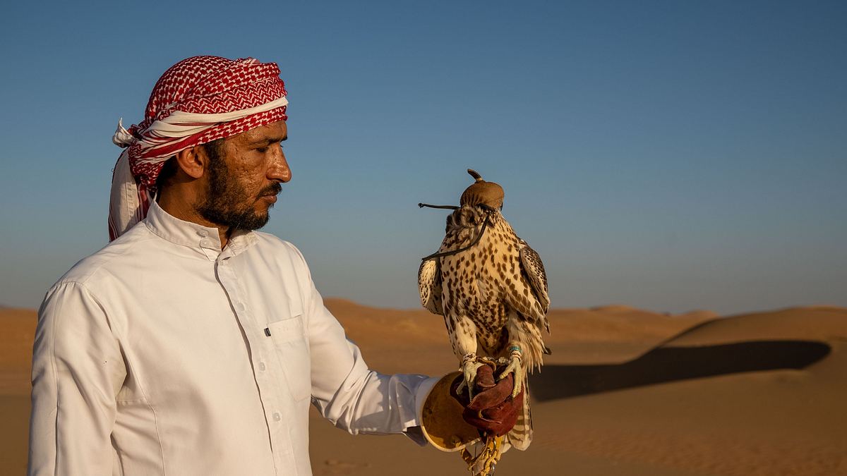wildes arabien