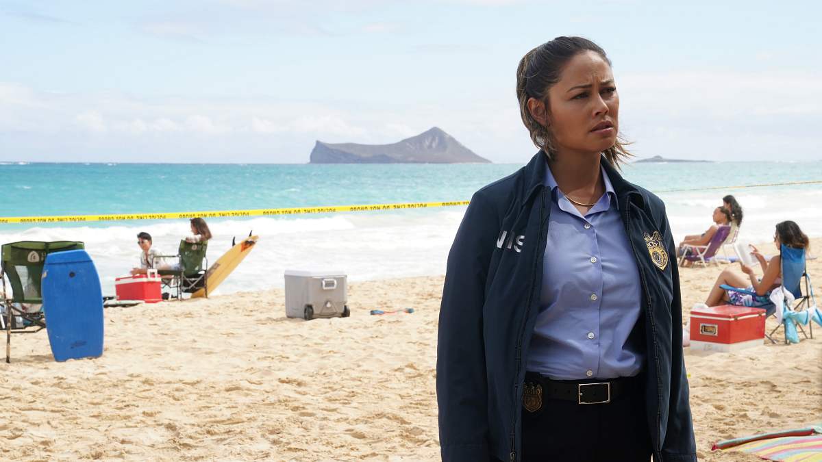 navy cis: hawaii