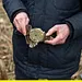 Verschollen im Zweiten Weltkrieg - Die lange Suche nach den Vermissten Thumbnail