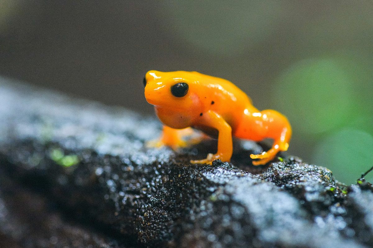 Zoo und so - Tierisch wild! zoo und so - tierisch wild!