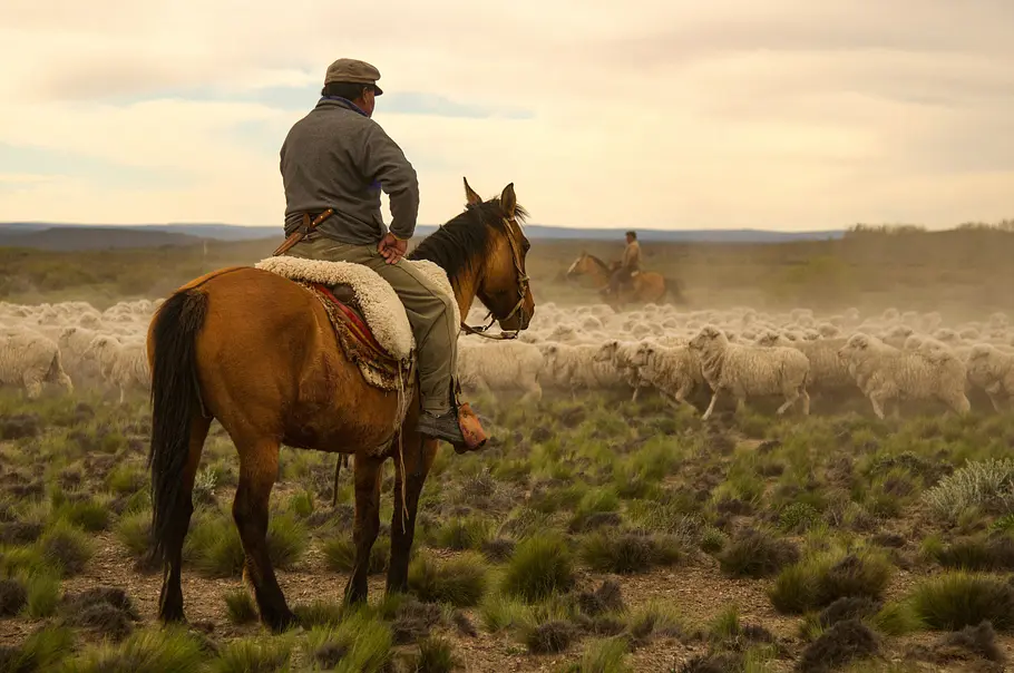 Wildes Patagonien wildes patagonien