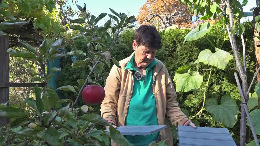 Von Hecke zu Hecke - Bunte Beetgeschichten von hecke zu hecke - bunte beetgeschichten