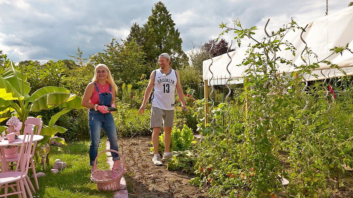 von hecke zu hecke - bunte beetgeschichten