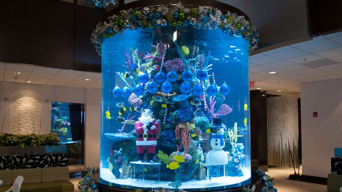 die aquarium-profis