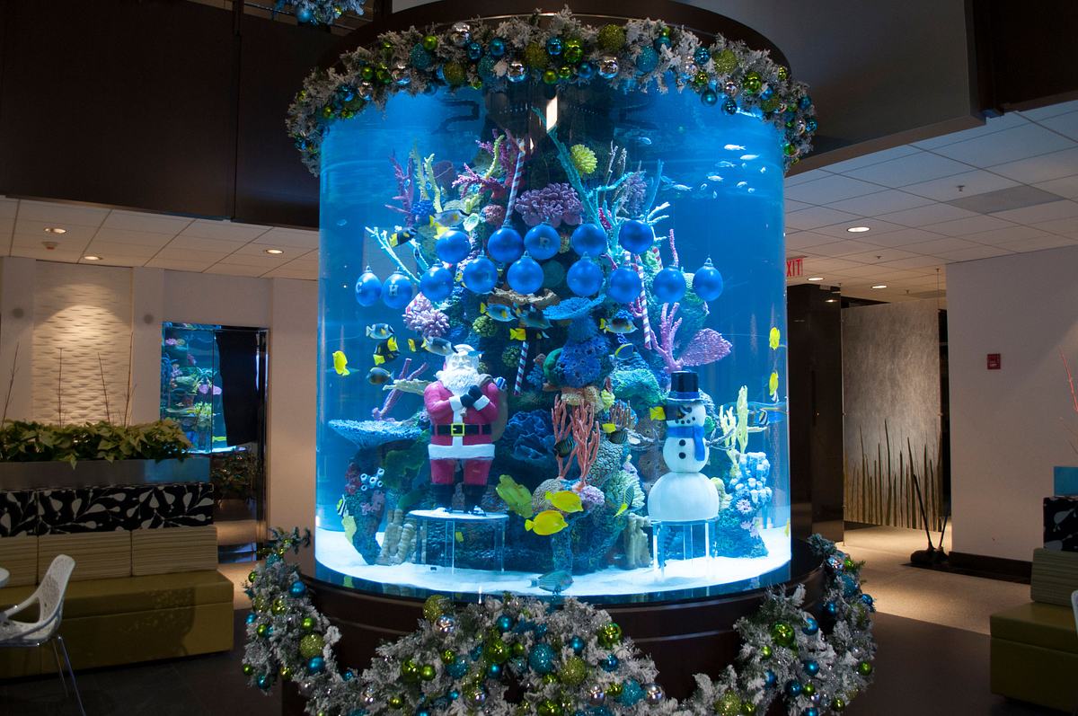 Die Aquarium-Profis die aquarium-profis