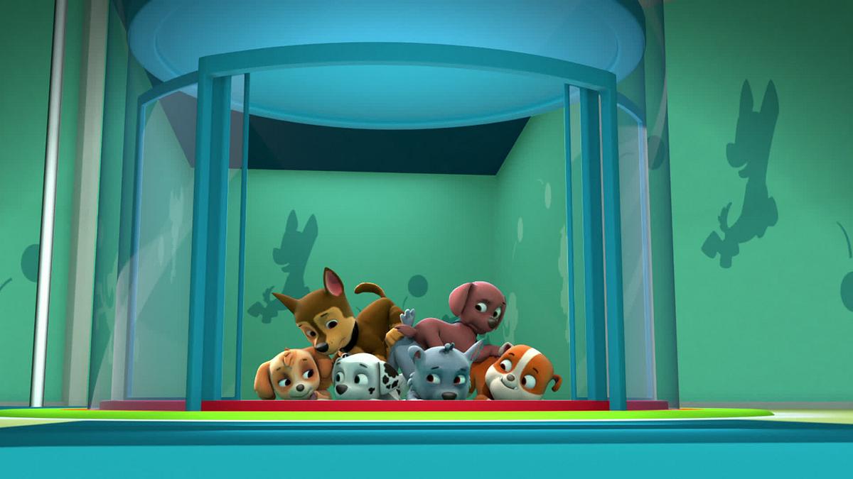 paw patrol - helfer auf vier pfoten