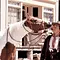 Shanghai Knights Thumbnail