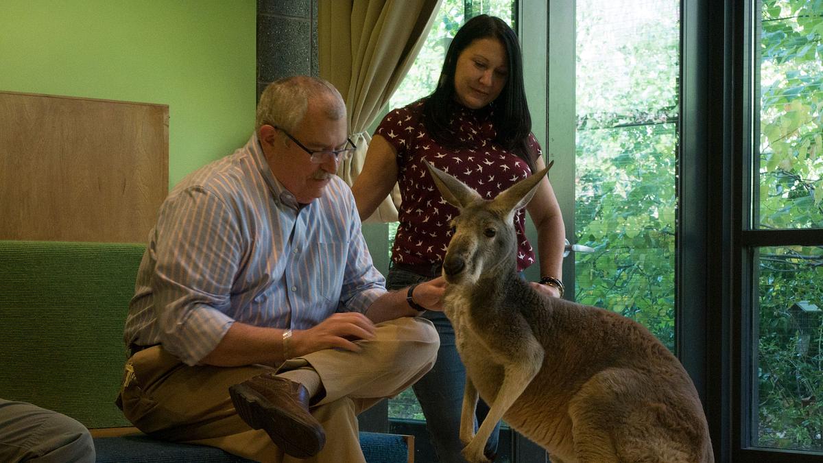 bronx zoo - tierpark der superlative
