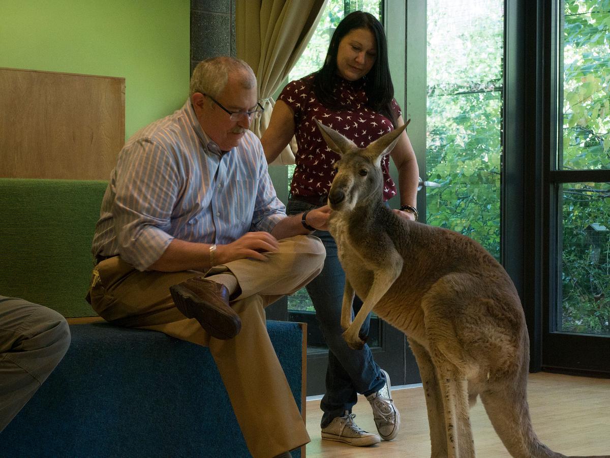 bronx zoo - tierpark der superlative