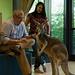 Bronx Zoo - Tierpark der Superlative Thumbnail