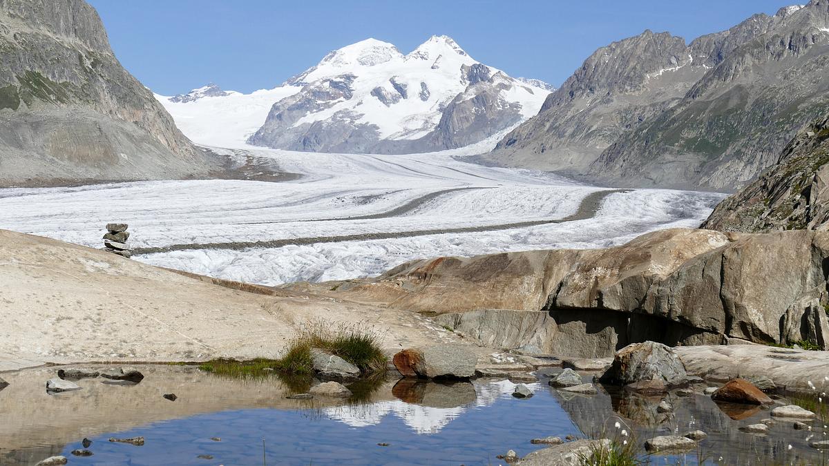 unsere wilde schweiz