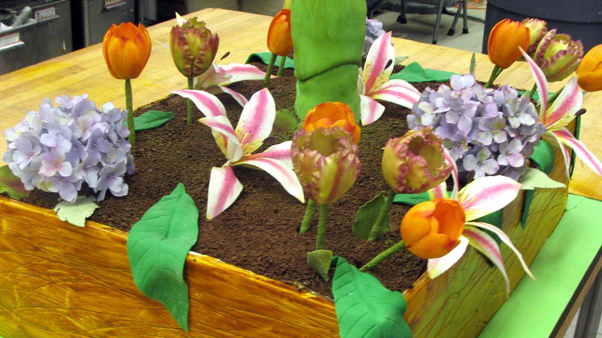 cake boss: buddys tortenwelt