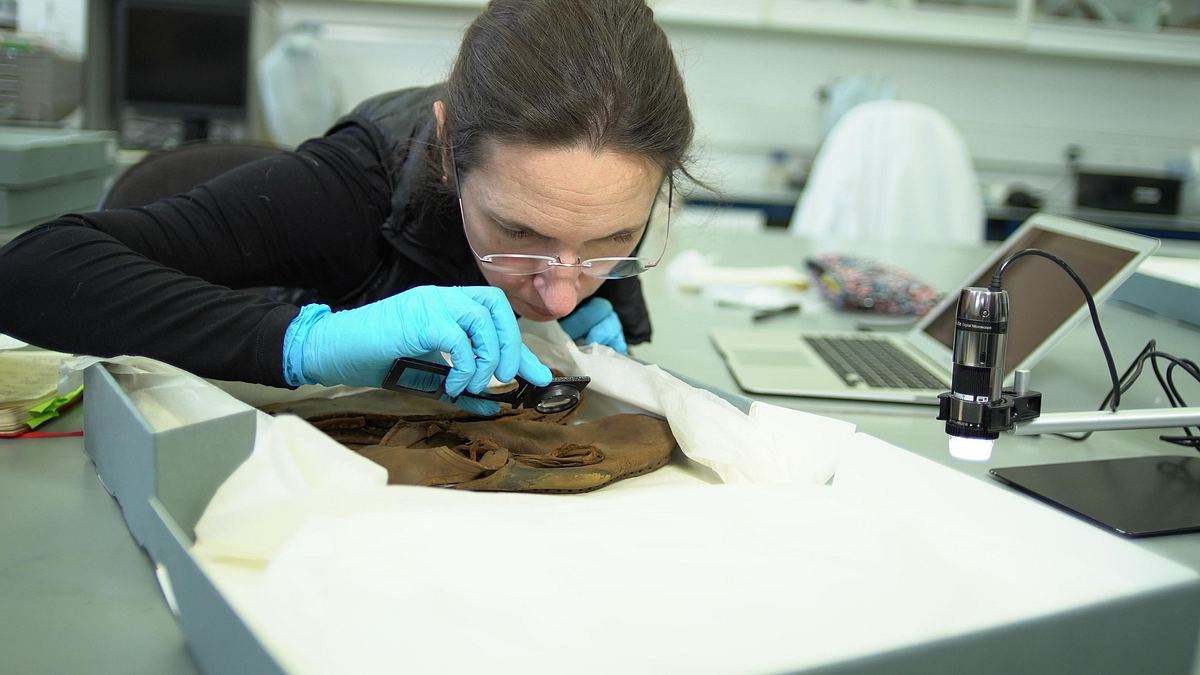 enthüllt: geheimnisse der meere